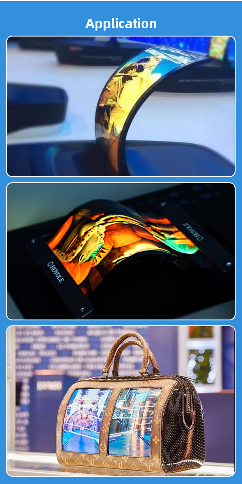 DXQ 6.67 inch Flexible Display detail