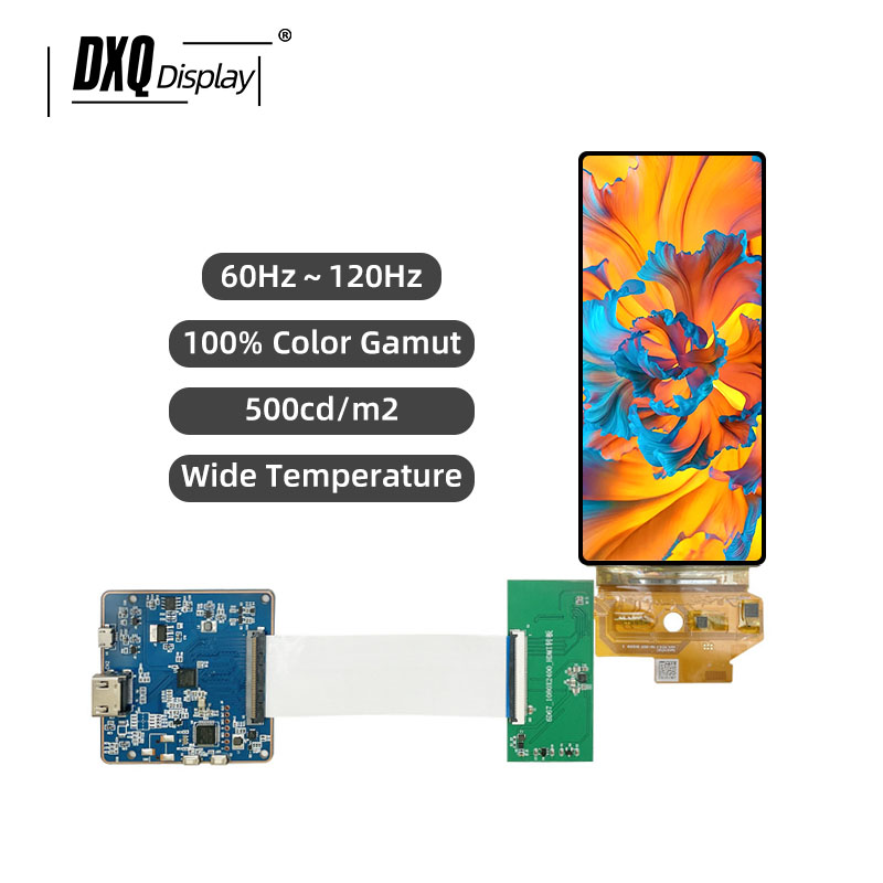 DXQ 6.67 inch Flexible Display detail