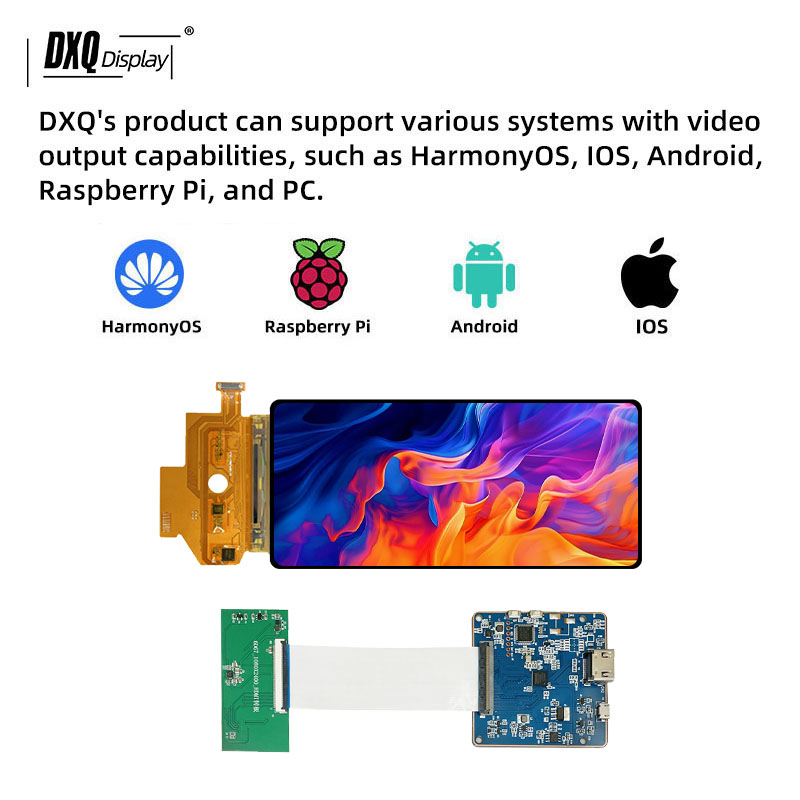 DXQ 6.67 inch Flexible Display detail